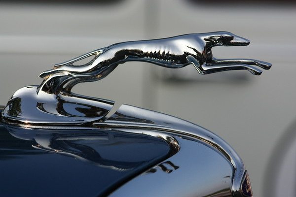 IMAGE: http://10smark.smugmug.com/photos/618598849_TXTPu-M.jpg